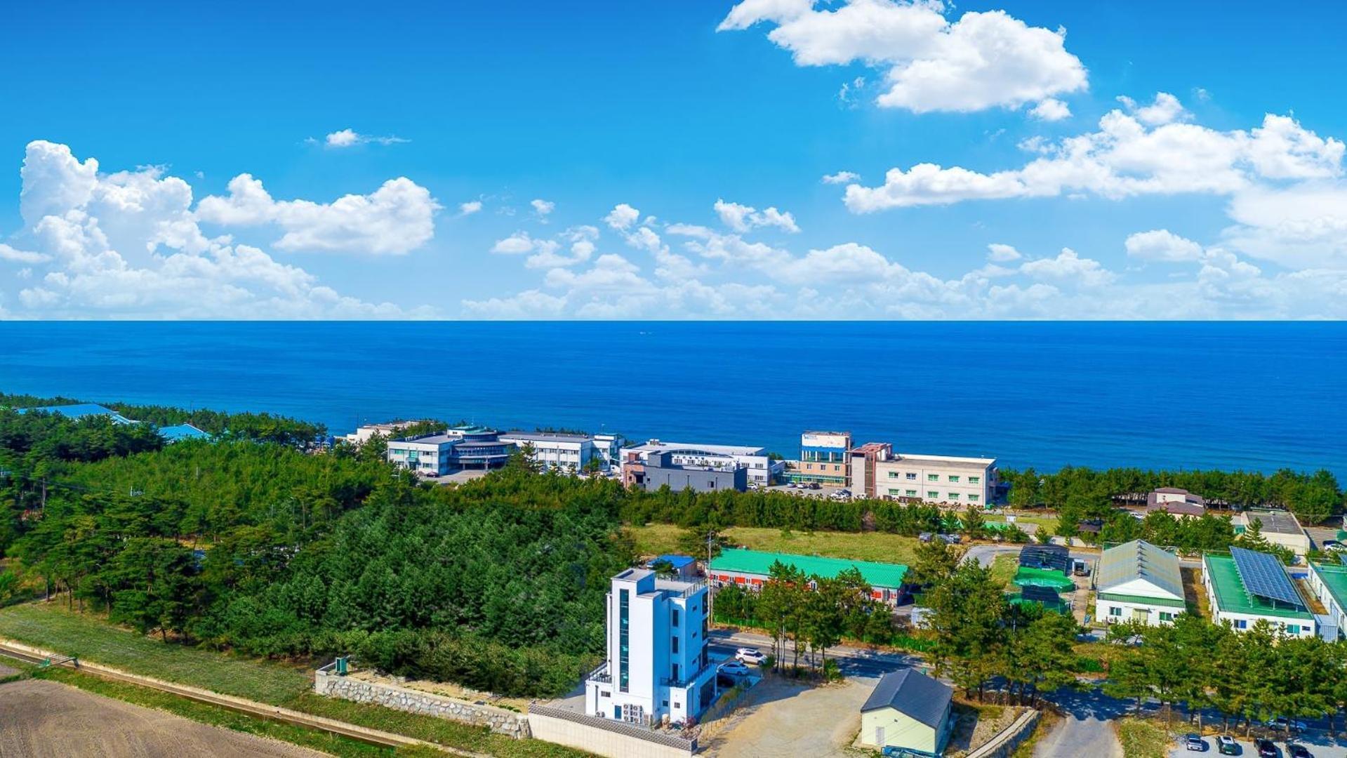 Gangneung Hello 4000 Pension エクステリア 写真